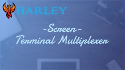 Enhance Your Terminal Workflow With A Terminal Multiplexer (screen)